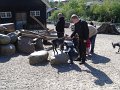 zoo 005